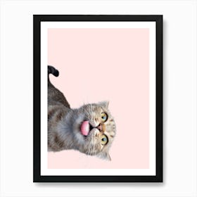 Cat On A Pink Background Art Print