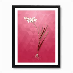 Vintage Gladiolus Botanical in Gold on Viva Magenta n.0589 Art Print