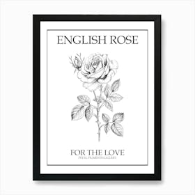 English Rose Black And White Line Drawing 25 Poster Art Print