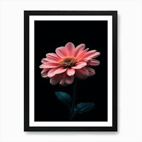 Gerbera Daisy 4 Art Print