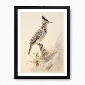 Vintage Bird Drawing Roadrunner 1 Art Print