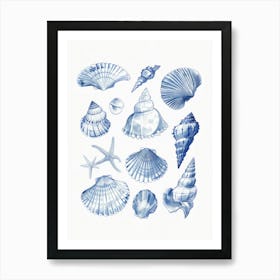 Sea Shells Canvas Print Beach House Art Print