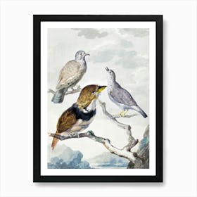 Vintage Bird Art Print_2835785 Art Print