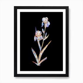 Stained Glass Elder Scented Iris Mosaic Botanical Illustration on Black n.0207 Art Print
