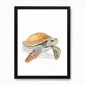 Loggerhead Sea Turtle (Caretta Caretta), Sea Turtle Pencil Illustration 1 Art Print