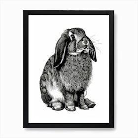 American Fuzzy Lop Black Blockprint Rabbit Illustration 4 Art Print