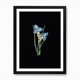 Vintage Sapphire Patersonia Botanical Illustration on Solid Black n.0267 Art Print