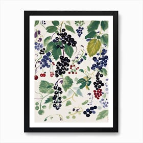 Blackcurrant Fruit Drawing 6 Art Print