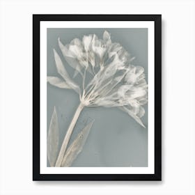 Ethereal I Art Print