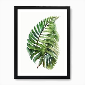 Southern Shield Fern Watercolour Art Print