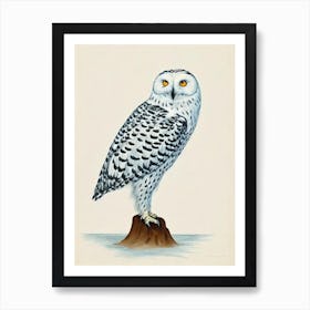 Snowy Owl Illustration Bird Art Print