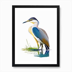 Javan Pond Heron Impressionistic 2 Art Print