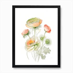 Ranunculus Floral Quentin Blake Inspired Illustration 1 Flower Art Print