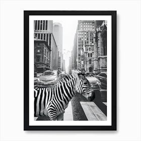 Zebra In New York City Art Print