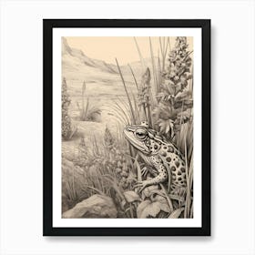 Desert Wave Frog Drawing 9 Art Print