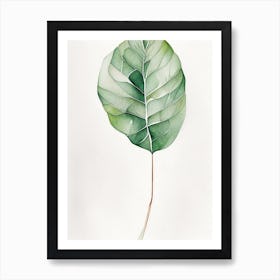 Wild Yam Leaf Minimalist Watercolour 3 Art Print