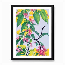 Himalayan Honeysuckle Eclectic Boho Plant Art Print