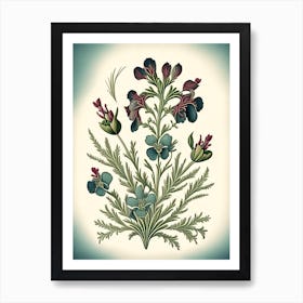 Nemesia 2 Floral Botanical Vintage Poster Flower Art Print