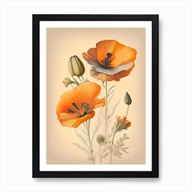 California Poppy Spices And Herbs Retro Drawing 2 Art Print