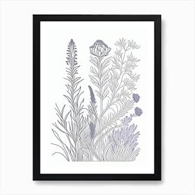 Lavender Herb William Morris Inspired Line Drawing 2 Art Print