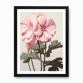 Floral Illustration Geranium 3 Art Print