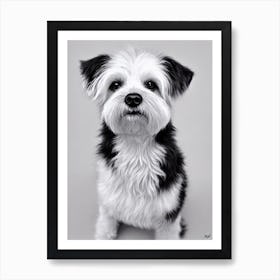 Pumi B&W Pencil Dog Art Print