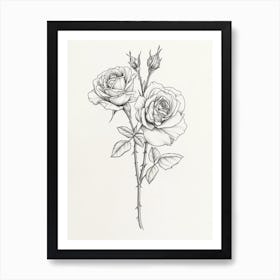 English Rose Black And White Line Drawing 14 Art Print