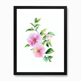 Apple Blossom 2 Watercolour Flower Art Print