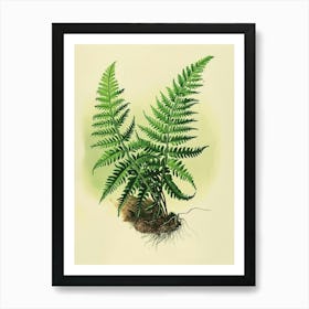 Vintage Illustration Upside Down Fern 2 Art Print