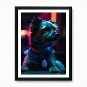 Dog At Night 1 Art Print