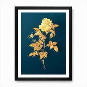 Vintage White Anjou Roses Botanical in Gold on Teal Blue n.0202 Art Print