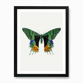 Butterfly Canvas Print 1 Art Print