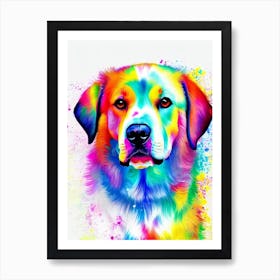 Dogo Argentino Rainbow Oil Painting Dog Art Print