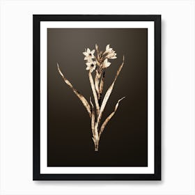 Gold Botanical Sword Lily on Chocolate Brown n.4138 Art Print