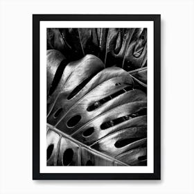 Leather Leaves Art Print