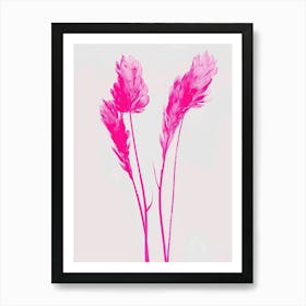 Hot Pink Fountain Grass 2 Art Print
