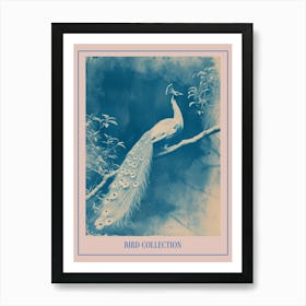 Peacock In The Tree Cyanotype Inspired 2 Poster Art Print