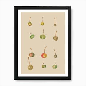 Pears 1 Art Print