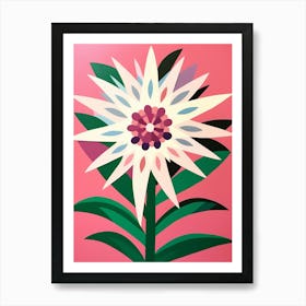 Cut Out Style Flower Art Edelweiss 2 Art Print