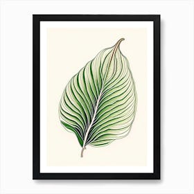 Hosta Leaf Warm Tones 3 Art Print