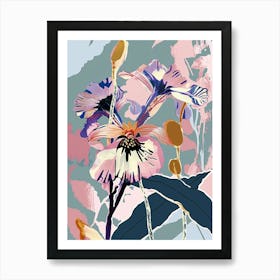 Colourful Flower Illustration Cineraria 6 Art Print