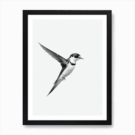 Barn Swallow B&W Pencil Drawing 1 Bird Art Print