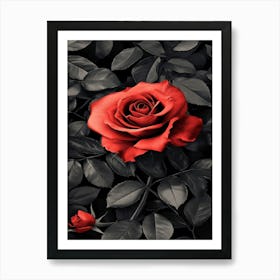 Red Rose On Black Background 27 Art Print