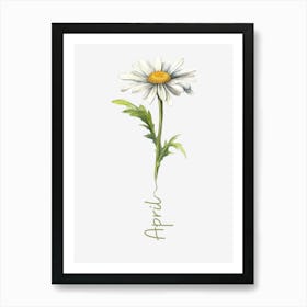 April Birth Flower Birth Month Botanical Art Print