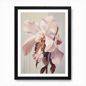 Floral Illustration Orchid 1 Art Print