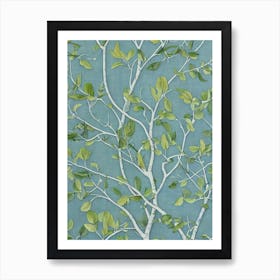 Quaking 2 Aspen Hybrid tree Vintage Botanical Art Print