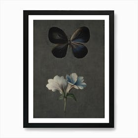 Butterfly And Flower Art Print