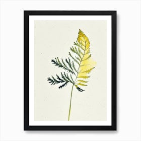 Tansy Leaf Minimalist Watercolour 2 Art Print