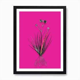 Vintage Blue CornLily Black and White Gold Leaf Floral Art on Hot Pink Art Print