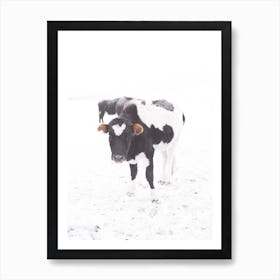 Winter Cow Art Print